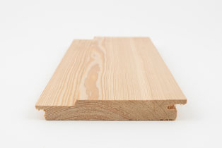 Siberian Larch